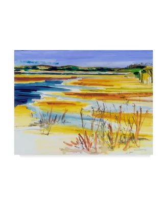 Erin Mcgee Ferrell Bright Marsh I Canvas Art