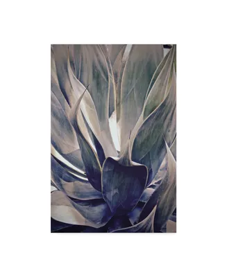 American School Faded Succulent Canvas Art - 15" x 20"