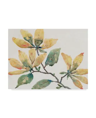Tim Otoole Flowering Branch Ii Canvas Art