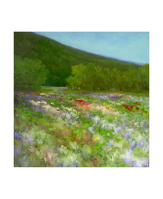 Sheila Finch Flowers of Half Moon Bay Ii Canvas Art - 20" x 25"