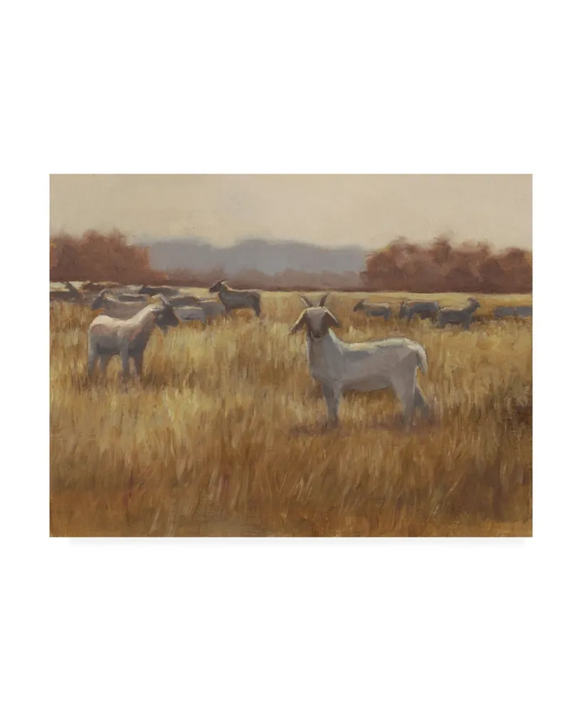 Ethan Harper Grazing Goats I Canvas Art - 15" x 20"