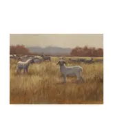 Ethan Harper Grazing Goats I Canvas Art - 15" x 20"