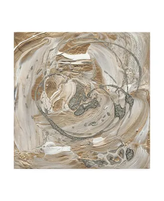 Alicia Ludwig Silver and Gold I Canvas Art