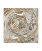 Alicia Ludwig Silver and Gold I Canvas Art