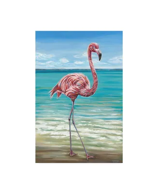 Carolee Vitaletti Beach Walker Flamingo I Canvas Art