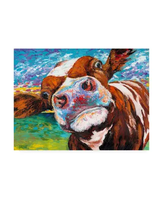Carolee Vitaletti Curious Cow I Canvas Art