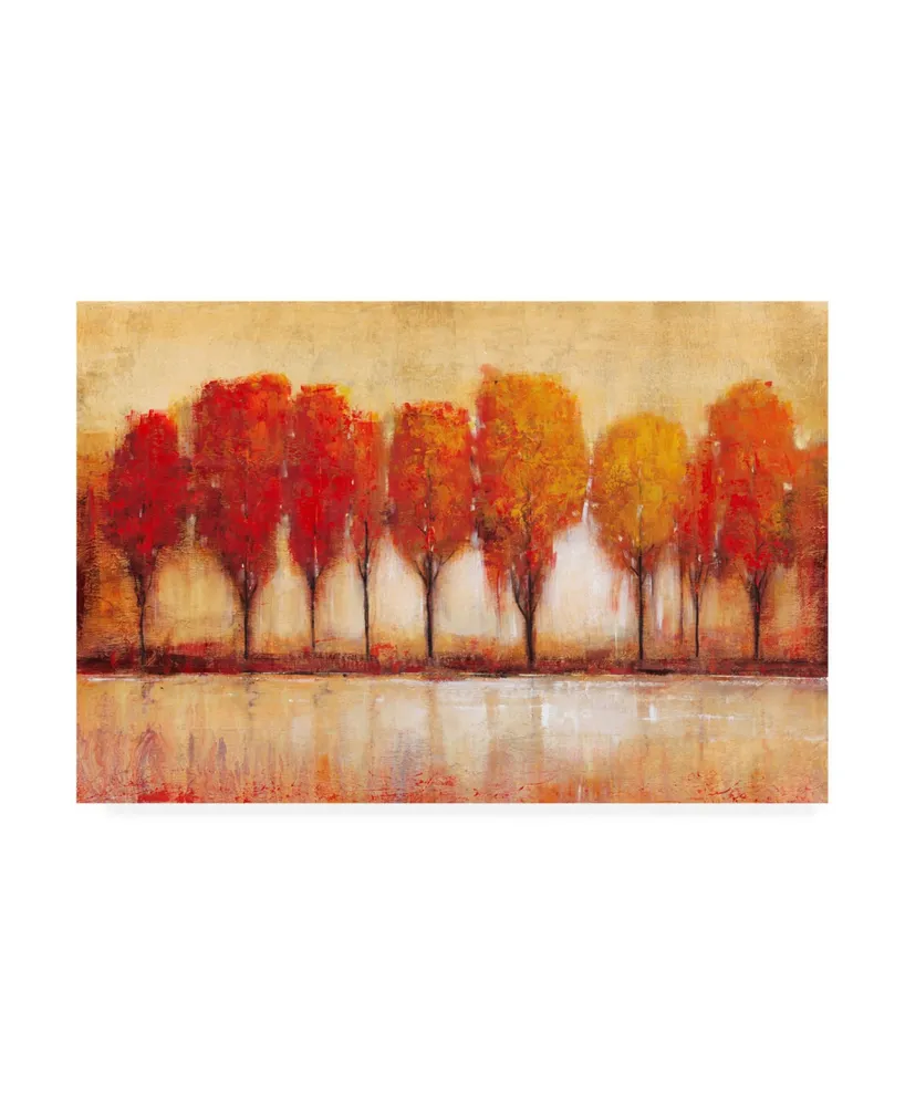 Tim Otoole Autumn Waters Edge Canvas Art