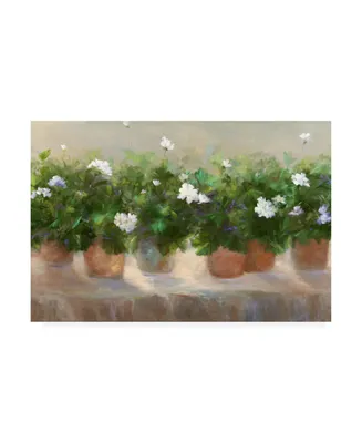 Sheila Finch White Geraniums Canvas Art