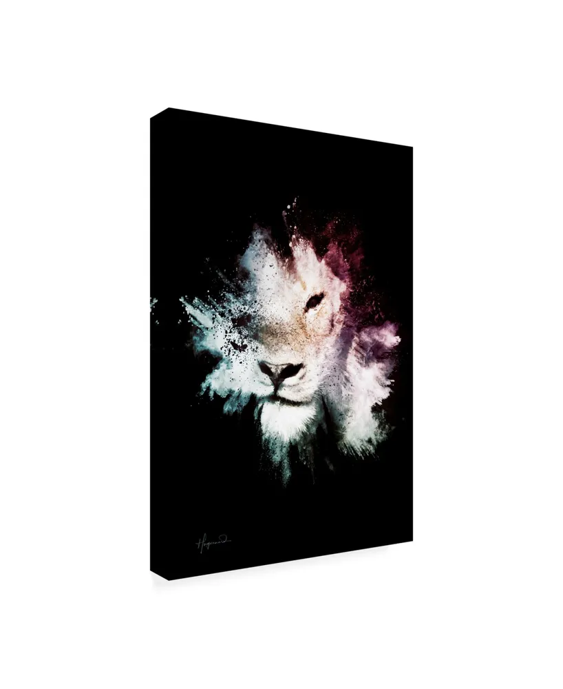 Philippe Hugonnard Wild Explosion Collection - the Lion Canvas Art