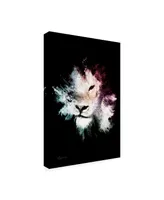 Philippe Hugonnard Wild Explosion Collection - the Lion Canvas Art