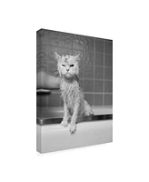 James Fla Berts Bath Canvas Art