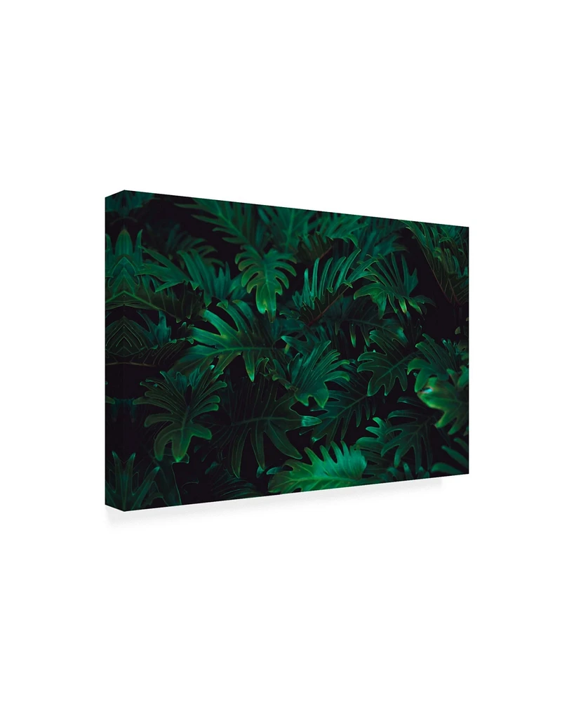 PhotoINC Studio Tropical Canvas Art