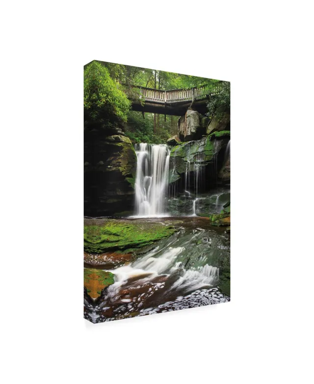 Trademark Global Alan Majchrowicz Elakala Falls West I Canvas Art