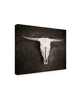 Brooke T. Ryan Sepia Cattle Skull Canvas Art - 27" x 33.5"