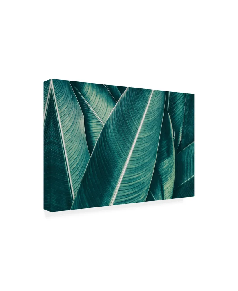 PhotoINC Studio Banana Green Leaves Canvas Art