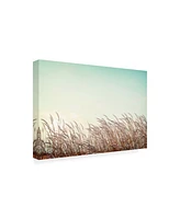 PhotoINC Studio Retro Grass Canvas Art - 15.5" x 21"