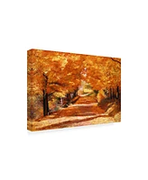 David Lloyd Glover The Yellow Leaf Road Canvas Art - 20" x 25"