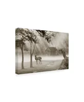 Monte Nagler Deer in Morning Mist Canvas Art - 15" x 20"