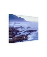 Monte Nagler Surf and Foothills Big Sur California Canvas Art