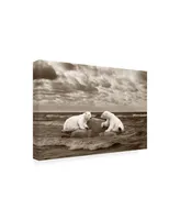 Monte Nagler Two Polar Bears Coast Line Canvas Art - 15" x 20"