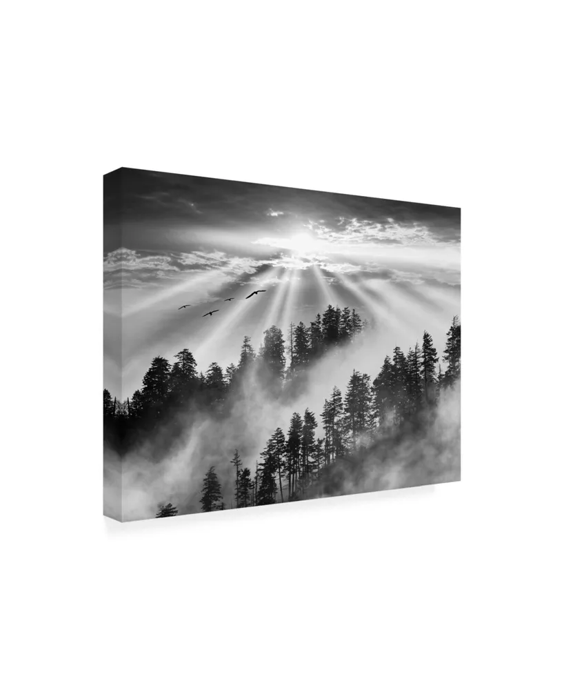 Monte Nagler Smoky Mountain Sunrise Tennessee Black and White Canvas Art