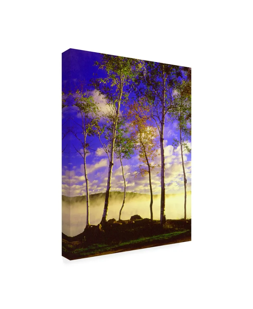 Monte Nagler Birch Trees and Mist Negaunee Michigan Canvas Art