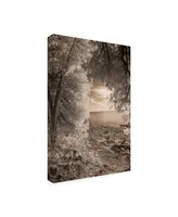 Monte Nagler Tree Frame Sepia Canvas Art - 20" x 25"