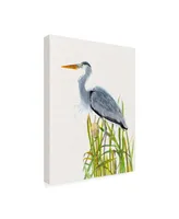 Naomi Mccavitt Water Birds and Cattails Ii Canvas Art - 15" x 20"