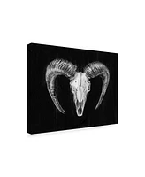 Ethan Harper Rustic Ram Mount Ii Canvas Art - 20" x 25"