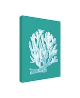 Fab Funky Coral 1 White on Turquoise Canvas Art - 27" x 33.5"