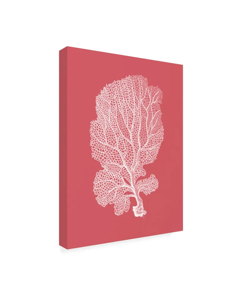 Fab Funky Corals White on Coral C Canvas Art