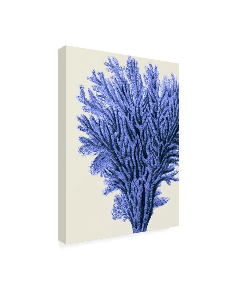 Fab Funky Blue Corals 2 a Canvas Art - 15.5" x 21"