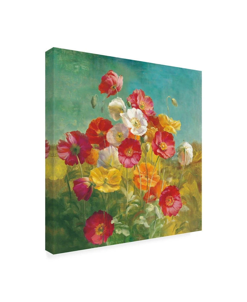 Danhui Nai Poppies in the Field Canvas Art - 36.5" x 48"