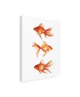 Emma Scarvey Ornamental Goldfish Iii Canvas Art - 19.5" x 26"