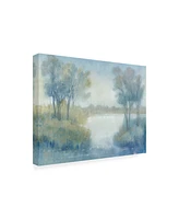 Tim Otoole Morning at the Pond I Canvas Art - 19.5" x 26"