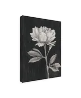 Ethan Harper Black and White Flowers Iii Canvas Art - 36.5" x 48"