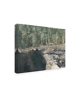 Natasha Chabot Virginia Forest Ii Canvas Art - 36.5" x 48"