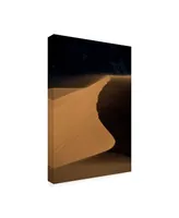 Dan Ballard Sand Dunes 4 Canvas Art - 27" x 33.5"