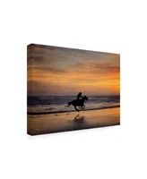 Ph Burchett Sunkissed Horses Iv Canvas Art