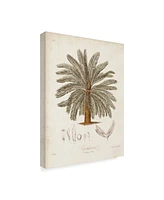 Elizabeth Twining Antique Tropical Palm I Canvas Art - 20" x 25"