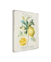 Danhui Nai Floursack Lemon Iv Canvas Art - 20" x 25"