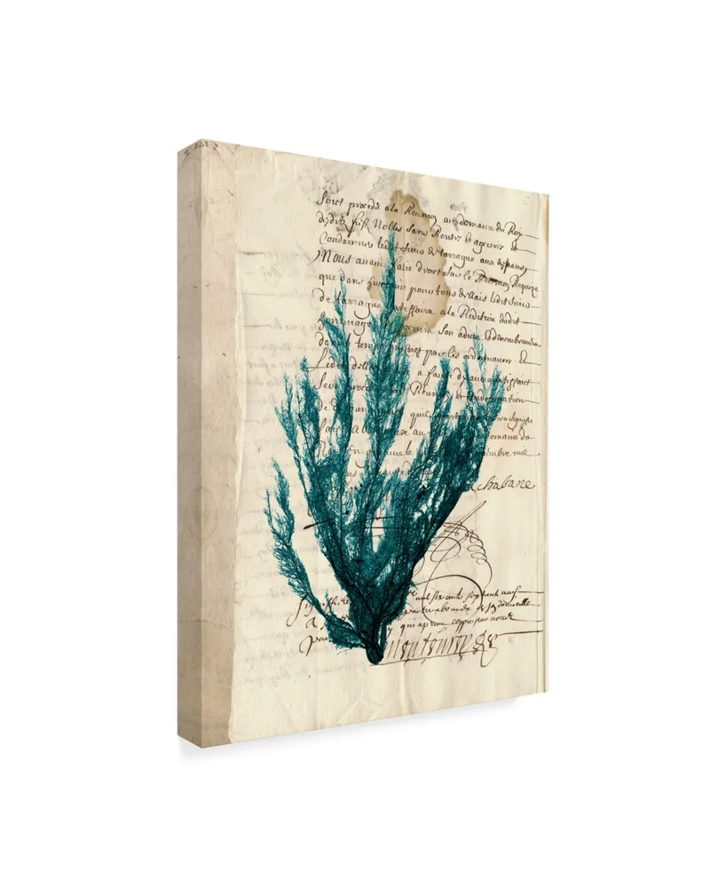 Vision Studio Vintage Teal Seaweed Ii Canvas Art