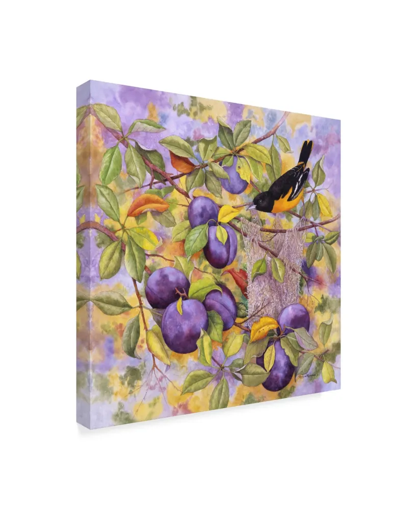 Marcia Matcham Oriole and Plums Canvas Art