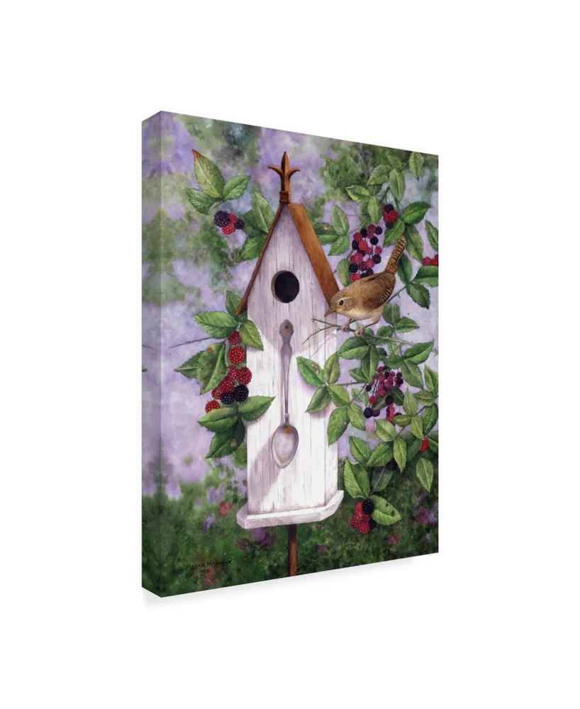 Marcia Matcham Wren House Canvas Art