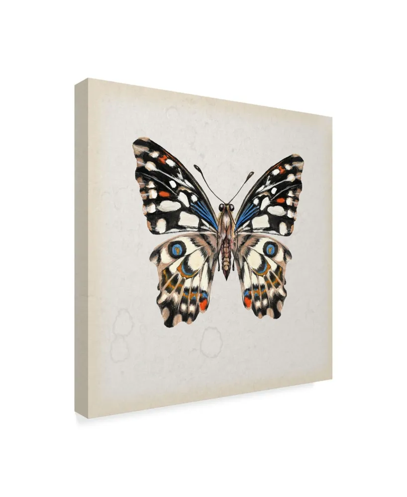 Melissa Wang Butterfly Study Ii Canvas Art