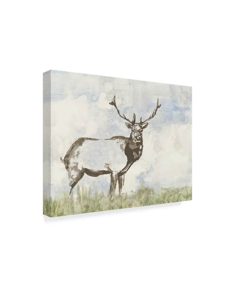 Jennifer Goldberger Wild Call Ii Canvas Art - 15" x 20"