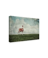 Lois Bryan Doe in the Meadow Canvas Art - 20" x 25"