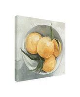 Emma Scarvey Fruit Bowl I Canvas Art - 15" x 20"