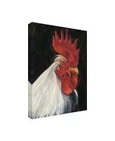 Ethan Harper Rooster Portrait I Canvas Art - 37" x 49"