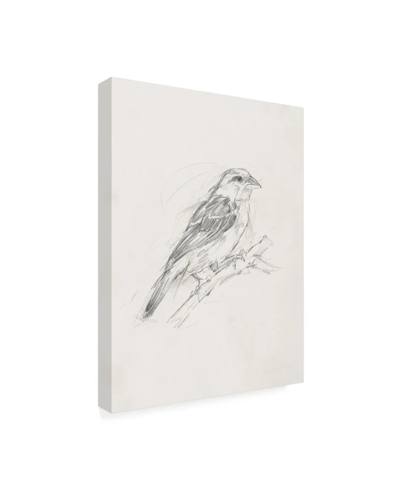 Ethan Harper Avian Study Ii Canvas Art - 37" x 49"